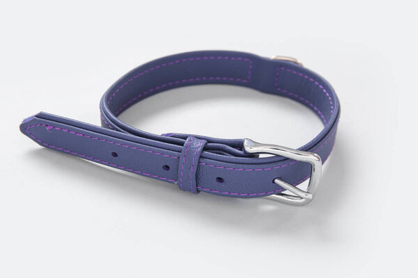 Leather pet collar on white background