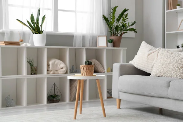 Innenraum Des Wohnzimmers Mit Grauem Sofa Und Zimmerpflanzen — Stockfoto