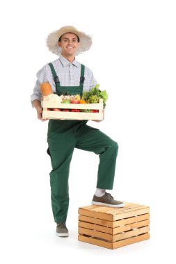Beyaz arka planda bir kutu sebzeli erkek çiftçi.