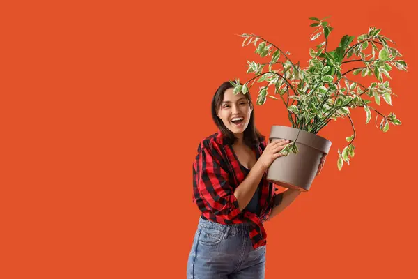 Young woman with plant on orange background