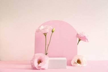 Alçı podyumlu kompozisyon ve pembe arka planda güzel östoma çiçekleri.