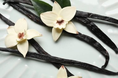 Aromatik vanilya çubukları ve beyaz arka plan üzerinde çiçekler