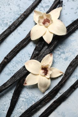 Mavi arka planda Aromatik vanilya çubukları ve çiçekler