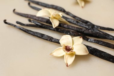 Aromatik vanilya çubukları ve bej arka planda çiçekler