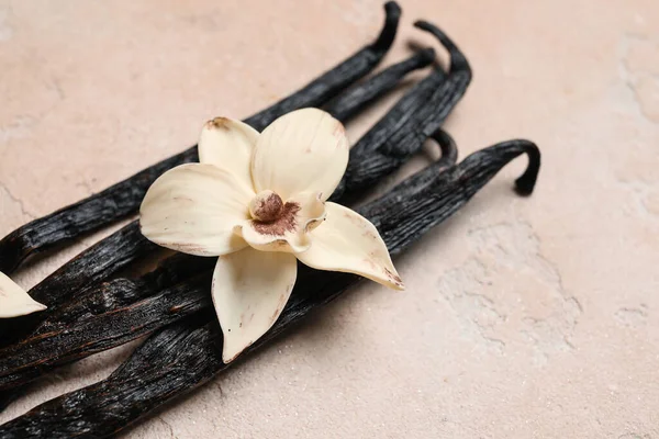 Pembe Arka Planda Aromatik Vanilya Çubukları Çiçek — Stok fotoğraf