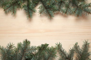 Bej ahşap arka planda güzel köknar dalları