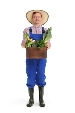 Beyaz arka planda bir kutu sebzeli erkek çiftçi.