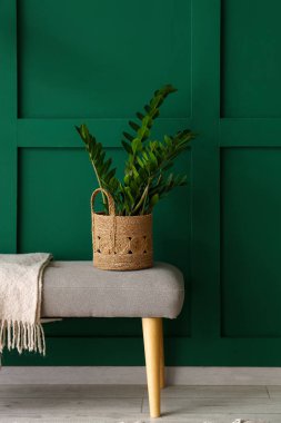 Yeşil duvarın yanında çiçek ve ekoseli yumuşak bir bank.