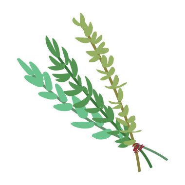 Beyaz arkaplanda bir demet bitki