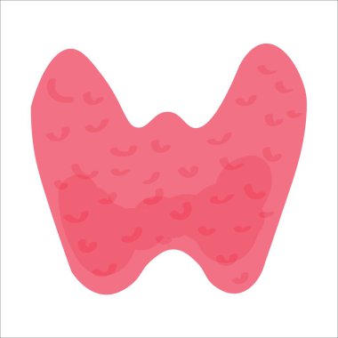 Beyaz arkaplanda tiroid bezi