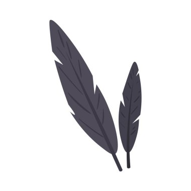 Beyaz arkaplanda siyah karga tüyleri