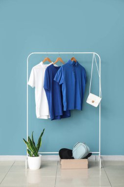 Renkli duvarın yanında şık kıyafetler, aksesuarlar ve ev bitkileriyle doldur.