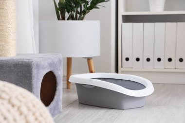 Kedi için oturma odasındaki çöp kutusu