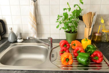 Mutfakta kap kacak ve saksıyla metal lavaboda taze biberler.