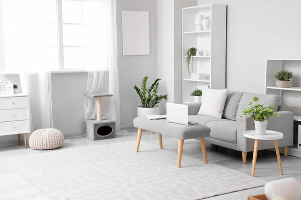 Interior of light living room with soft bench and sofa