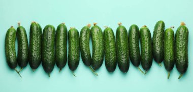 Açık mavi arkaplanda bir sürü yeşil salatalık, üst manzara