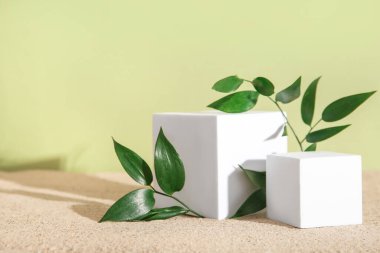 Dekoratif sıva podyumları ve dalları kumun üzerinde zeytin arkaplanına karşı yapraklarla