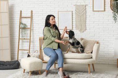 Bayan köpek bakıcısı evcil hayvanı eğitiyor.