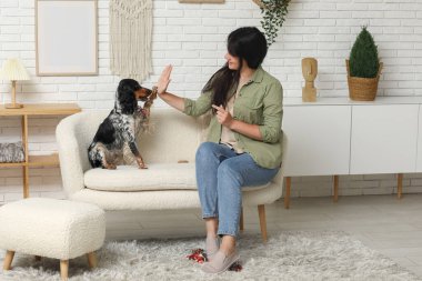 Bayan köpek bakıcısı evcil hayvanı eğitiyor.