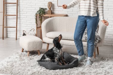 Kadın cynoloji eğitmeni köpek evde.