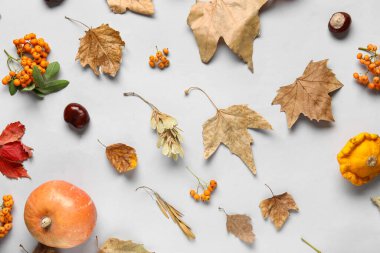 Beyaz arka planda sonbahar yaprakları, kabak ve kestane