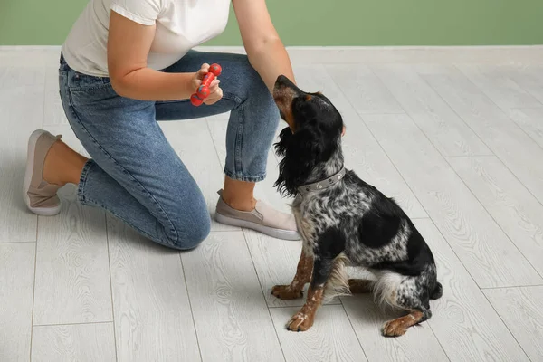 Female dog handler training pet at home