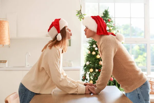 Young couple kissing under mistletoe branch in kitchen