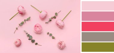 Pembe arka planda bir sürü güzel gül. Farklı renk desenleri