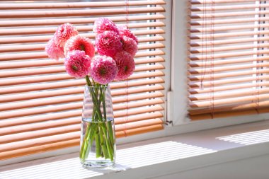 Oturma odasındaki pencere eşiğinde duran güzel pembe yıldız çiçekleri.