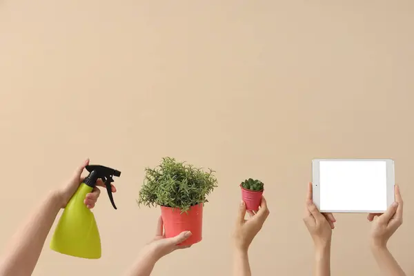 Women with blank tablet computer, plants and spray bottle on beige background