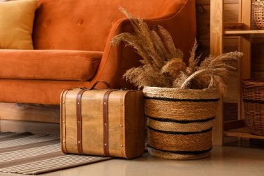 Tahta bavul ve pampalar hasır sepetin içinde, oturma odasındaki kahverengi kanepenin yanında, yakın plan.