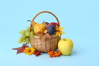Mavi arka planda farklı taze meyvelerle dolu bir sepet.