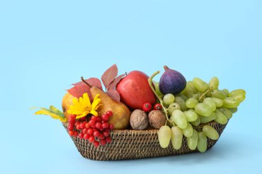 Mavi arka planda farklı taze meyvelerle dolu bir sepet.