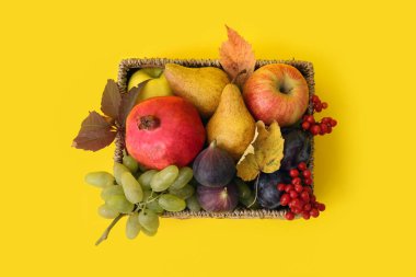 Sarı arka planda farklı taze meyveler olan sepet.