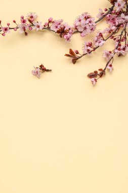 Bej arkaplanda çiçek açan dallar