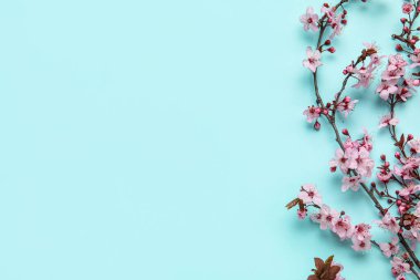 Mavi arkaplanda açan dallar