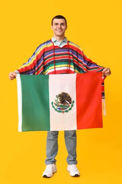 Sarı arka planda Meksika bayrağı olan yakışıklı genç adam.