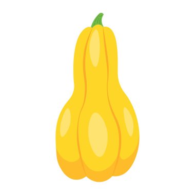 beyaz zemin üzerinde olgunlaşmış taze kabak