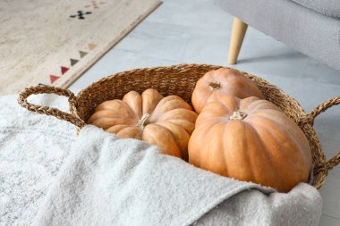 Oturma odasında balkabağı ve ekoseli sepet, yakın plan.