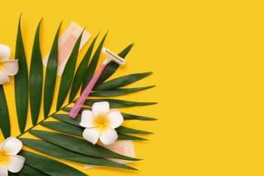 Güzel çiçekli palmiye yaprağı, balmumu şeritler ve sarı arka planda güvenlik jileti.