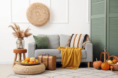 Gri kanepe, balkabağı ve battaniyeli oturma odasının içi.