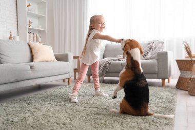 Evde Beagle köpeğiyle oynayan tatlı küçük bir kız.