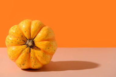 Renkli arkaplanda taze balkabağı