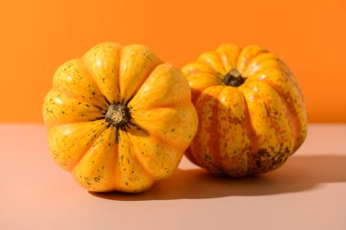 Renkli arkaplanda taze balkabakları