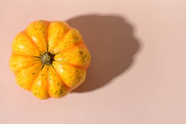 Bej arkaplanda taze balkabağı