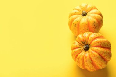 Sarı arkaplanda taze balkabakları