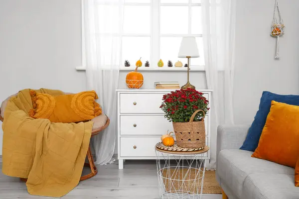 Interior of living room with armchair, pumpkins and drawers