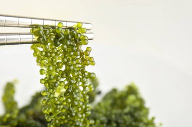 Hafif arka planda sağlıklı yosunlu yemek çubukları, yakın plan.