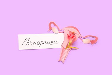Kağıt uterusu ve pembe arka planda çiçeği olan sözcük MENOPAUSE