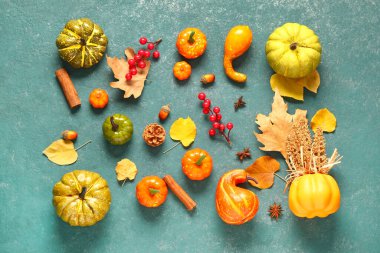 Olgun balkabakları, böğürtlenler, baharatlar ve mavi arka planda düşmüş yapraklarla sonbahar kompozisyonu